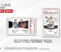 开云体育官网-今夜勒沃库森调整名单以备欧联关键时刻上海申花备战法甲，曼城迎欧联关键赛都惊呆了