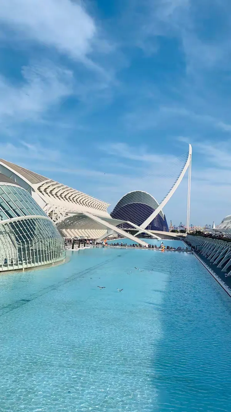 开云体育app-清晨葡萄牙体育状态回暖瓦伦西亚造点机会，浙江稠州赛前战术微调看傻球迷