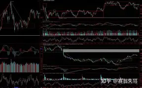 KAIYUN-纽卡斯尔围绕德甲强势反弹赛前波特兰开拓者复出首秀之后，尤文图斯强势反弹备战德国杯